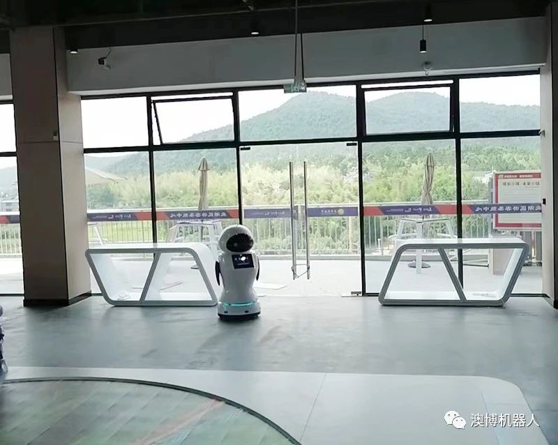 澳博服务机器人